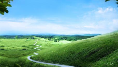 Lush Green Valley Serenity wallpaper