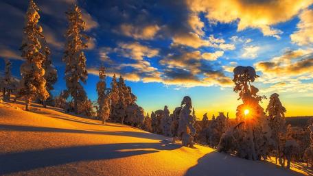 Majestic Winter Sunset Over Snowy Forests wallpaper