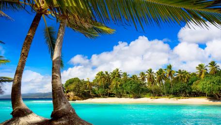 Tropical Paradise by the Shore wallpaper