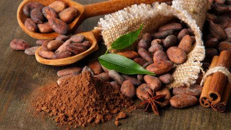 Cocoa Beans Still Life Wallpaper wallpaper