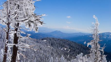 Winter Wonderland in the Mountains wallpaper