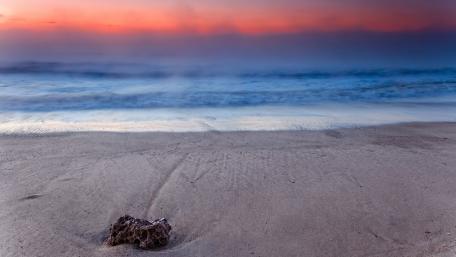 Tranquil Shoreline at Dusk wallpaper