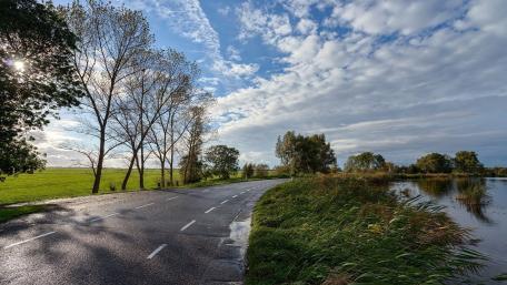 Serene Roadside Nature Scene wallpaper