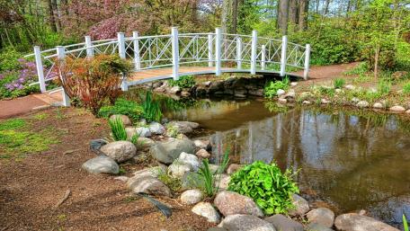 Serene Bridge Over Tranquil Waters in Nature’s Embrace wallpaper