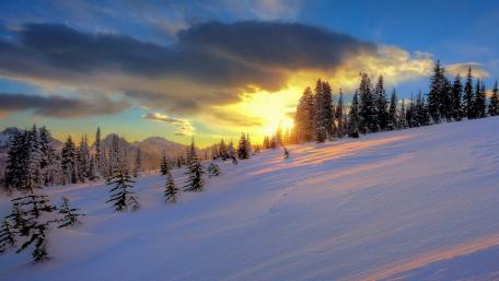Serene Winter Sunrise Over Snowy Landscape wallpaper