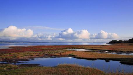 Serene Landscape of Tranquil Waters and Blue Skies wallpaper