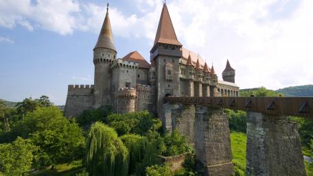 Majestic Castle Surrounded by Lush Greenery and Blue Skies wallpaper