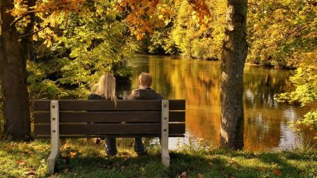 Serene Autumn Moments by the River wallpaper