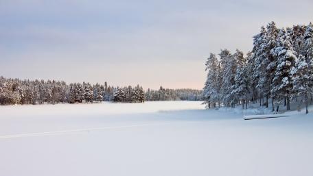 Winter Serenity in a Snowy Landscape wallpaper