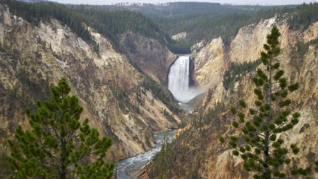 Majestic Waterfall in Serene Wilderness wallpaper