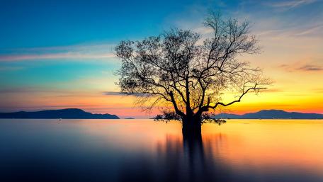 Serene Sunset Over Tranquil Waters wallpaper
