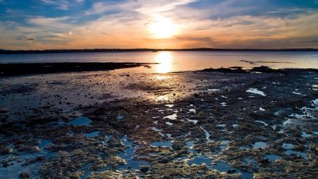 Serene Sunset Over the Tidal Wetlands wallpaper