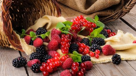 Vibrant Berry Delight Wallpaper wallpaper