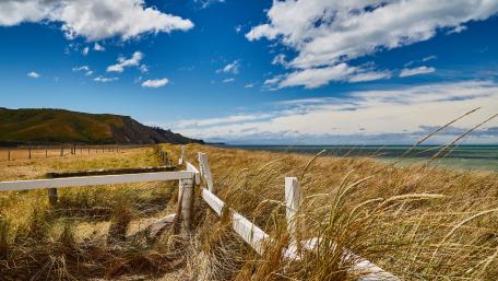 Serene Coastal Landscape with Lush Grasslands wallpaper