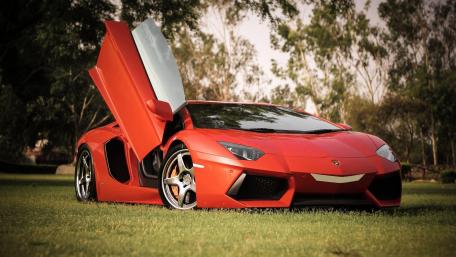 Sleek Red Lamborghini Aventador in Nature wallpaper