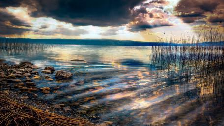 Serene Reflections on a Tranquil Lake Surface wallpaper