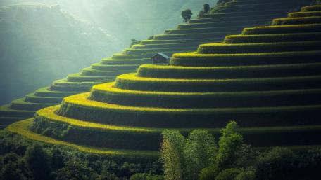Terraced paddy field wallpaper