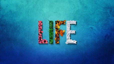 Vibrant Representation of Life Through Nature Elements wallpaper
