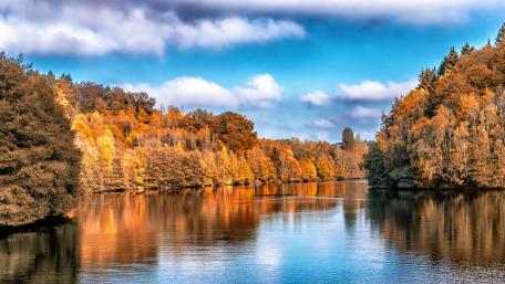 Autumn Serenity by the Lake wallpaper