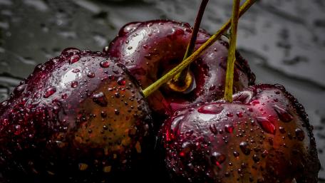Rich Juicy Cherries Glimmering with Fresh Raindrops wallpaper