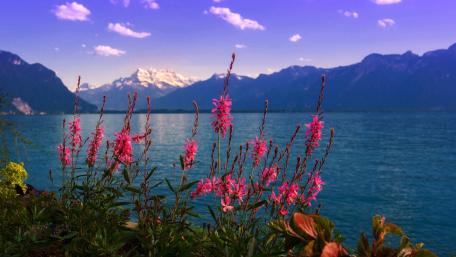 Breathtaking Serenity of Nature's Beauty wallpaper