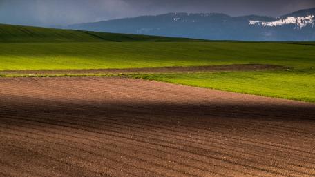 Vibrant Fields Under Cloudy Skies wallpaper