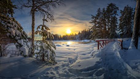 Winter Dawn over Snowy Bridge wallpaper