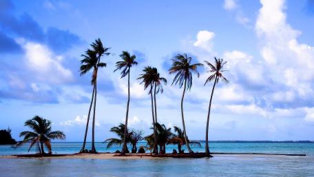 Tropical Serenity at Palm Islet wallpaper