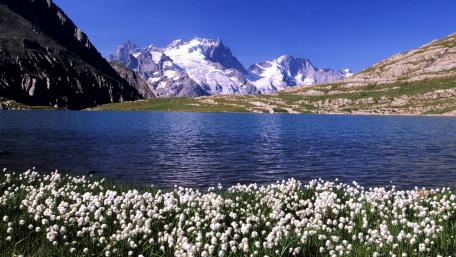 Breathtaking Mountain View with Flowering Meadow wallpaper