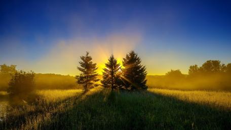 Sunrise Serenity over Misty Fields wallpaper