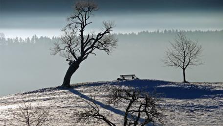 Serene Winter Landscape with a Bench wallpaper