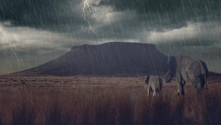 Majestic Elephants Under Stormy Skies wallpaper