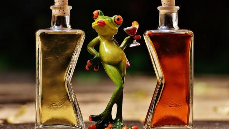 Frog with Cocktails Bringing a Smile wallpaper
