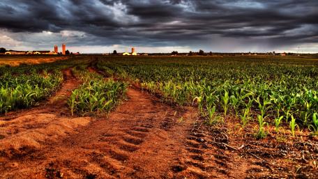 Serene Fields Under Dramatic Skies wallpaper