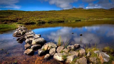 Serenity by the Tranquil Pond wallpaper