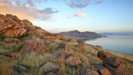 Serene Landscape by the Water’s Edge wallpaper