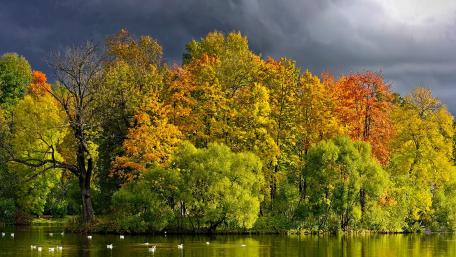 Autumn Reflections Over Calm Waters wallpaper