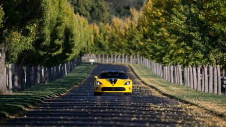 Yellow Sports Car on a Scenic Autumn Pathway wallpaper