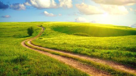 Serene Country Road Amidst Lush Green Fields wallpaper