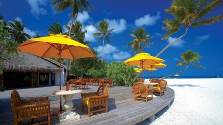 Sunny Beach Paradise with Palms and Parasol wallpaper