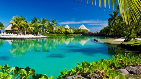 Tropical Paradise by the Water's Edge wallpaper