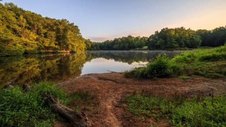 Serene Reflections of Nature's Beauty wallpaper