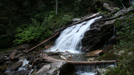 Serenity of Flowing Waters Amidst Lush Greenery wallpaper