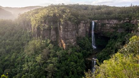 Majestic Waterfall in Lush Green Forest wallpaper