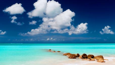 Serene Tropical Paradise by the Shore wallpaper