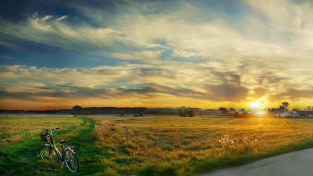 Tranquil Evening in Nature wallpaper