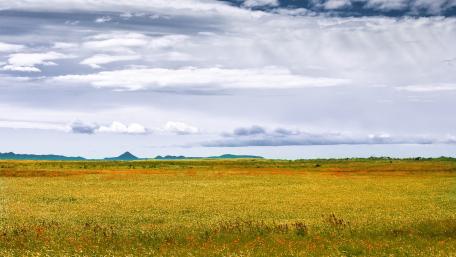 Vast Fields Under a Dramatic Sky wallpaper