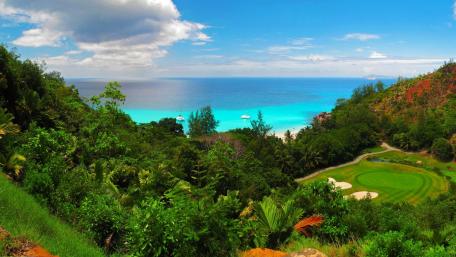 Tropical Paradise by the Shoreline wallpaper