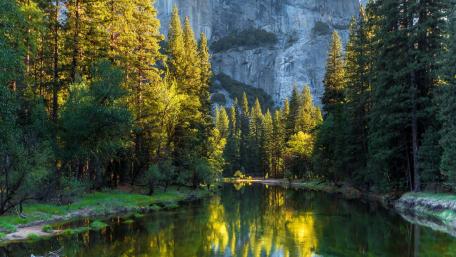 Tranquil Reflections in a Serene Forest Scene wallpaper