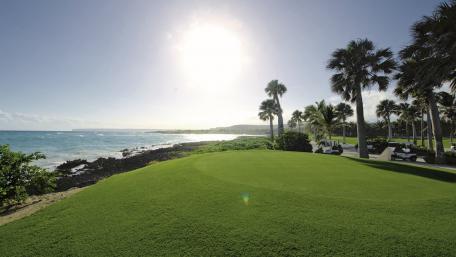Serene Coastal Escape with Palm Trees and Ocean View wallpaper